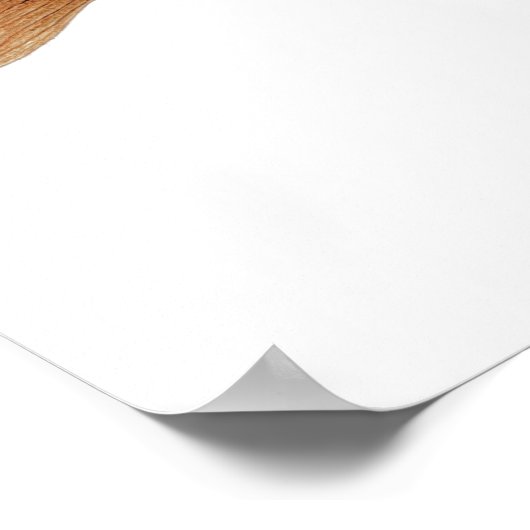 Poster 3 truite et art Saumon (Coin)