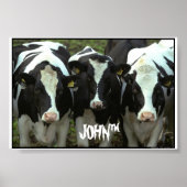 Poster 3 vaches (Devant)