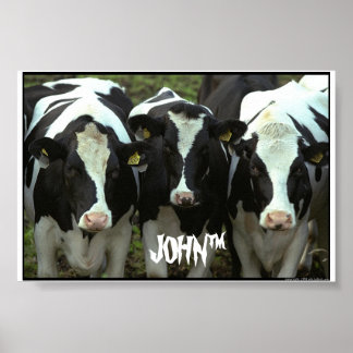 Poster 3 vaches