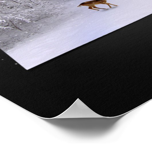 Poster 3D Illusion "Snowy Dreams" (Coin)