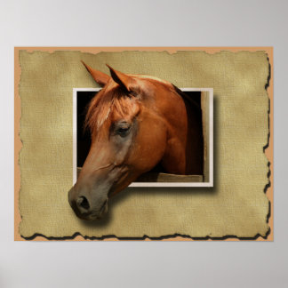 poster 3D-paarden