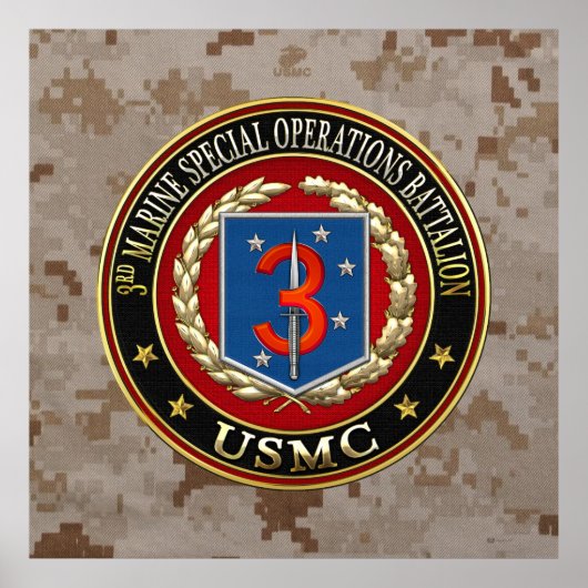 Poster 3e MSOB [3D] (Devant)