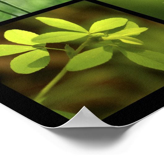 Poster 3x3 photos vert (Coin)