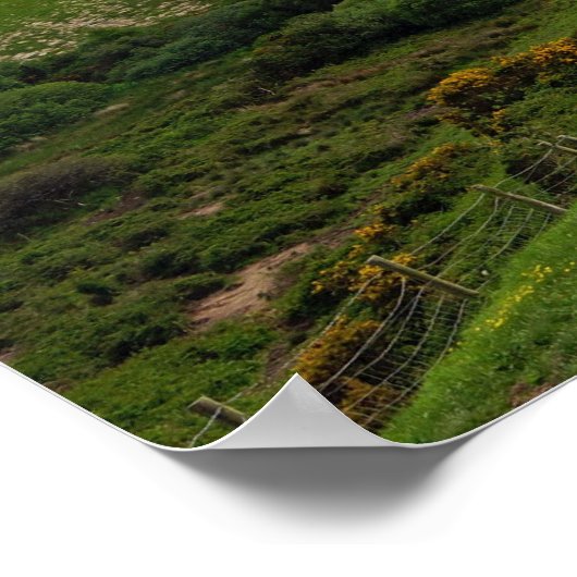 Poster 40 nuances de vert (Coin)