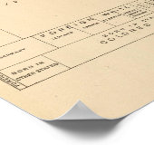 Poster 41 Éléments de la population 1900 (Coin)