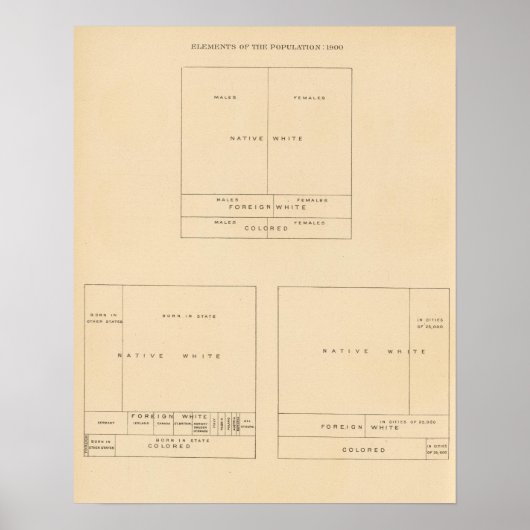 Poster 41 Éléments de la population 1900 (Devant)