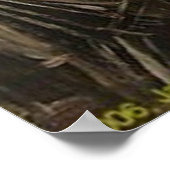 Poster 41e et 5e (Coin)