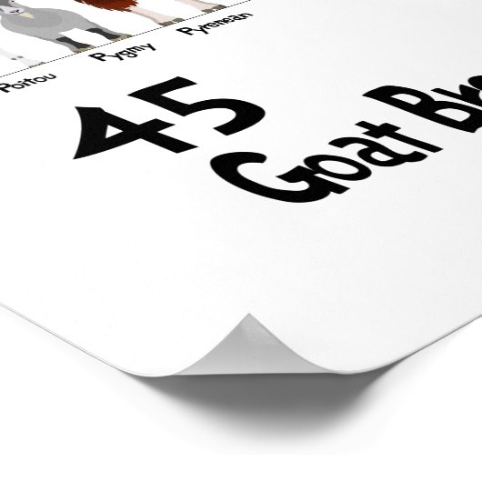 Poster 45 breeds of goats chart (Coin)