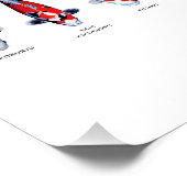 Poster 45 Soorten Koi Perfect Poster (Hoek)