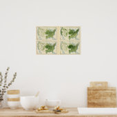 Poster 47 Corn 1890 (Cuisine)