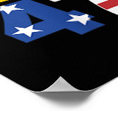Poster 47 Trump Cheveux _1 (Coin)