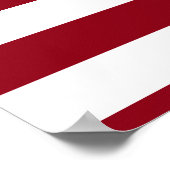 Poster 47 Trump Desantis 2024 (Coin)