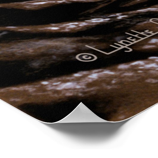 Poster 47 Ursae Majoris (Coin)