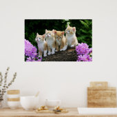 Poster 4 chatons jaunes (Cuisine)