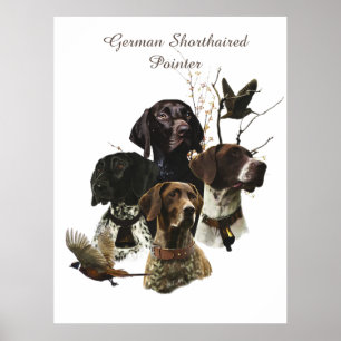 Poster 4 Couleurs de pointeur germanophones