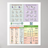 Poster 4 en 1 (Devant)