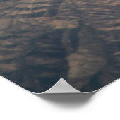 Poster 4 Juillet 2019 - Lac Isabella En Californie. (Coin)