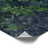 Poster 4 juillet (82) Toile (Coin)