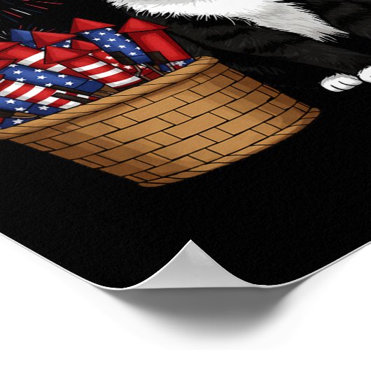 Poster 4 juillet Conception De Chat Et Feux D'Artifice Po (Coin)