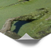 Poster 4 mars (62) Toile (Coin)