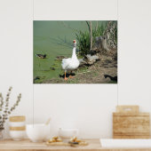 Poster 4 mars (62) Toile (Cuisine)