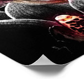 Poster 4x5 Ratio orchidée noire Img5459 (Coin)
