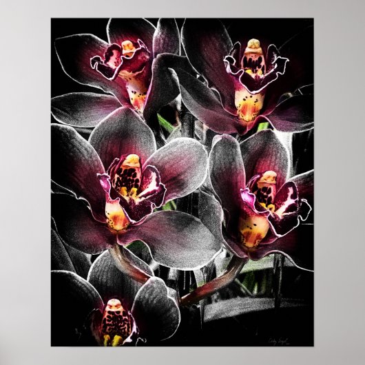 Poster 4x5 Ratio orchidée noire Img5459 (Devant)
