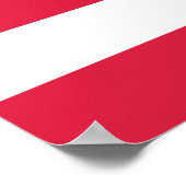 Poster 50 Star Flag United States of America (Coin)