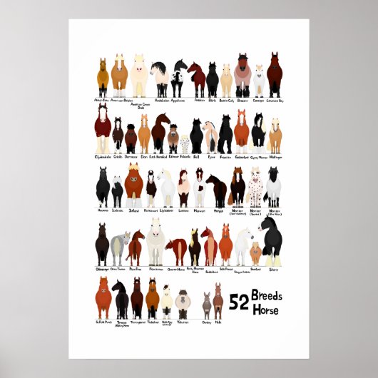 Poster 52 hippocampes (Devant)