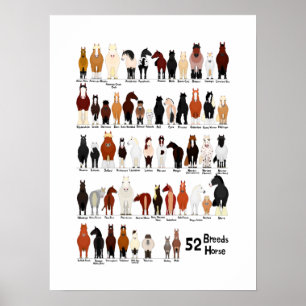 Poster 52 horse breeds chart