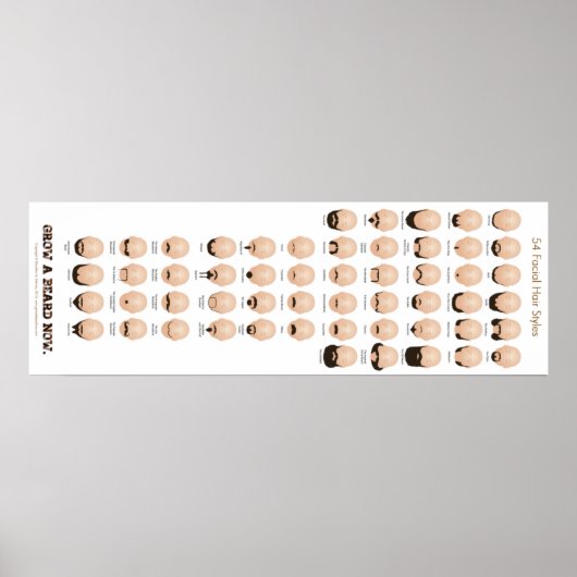 Poster 54 Styles de cheveux faciaux (Devant)