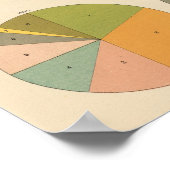 Poster 57 Principale nationalité 1850-1900 (Coin)