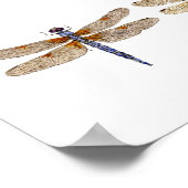 Poster 5 libellules (Coin)