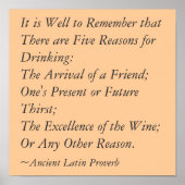 Poster 5 Raisons de boire (Devant)