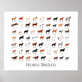 Poster 60 hippocampes (Devant)