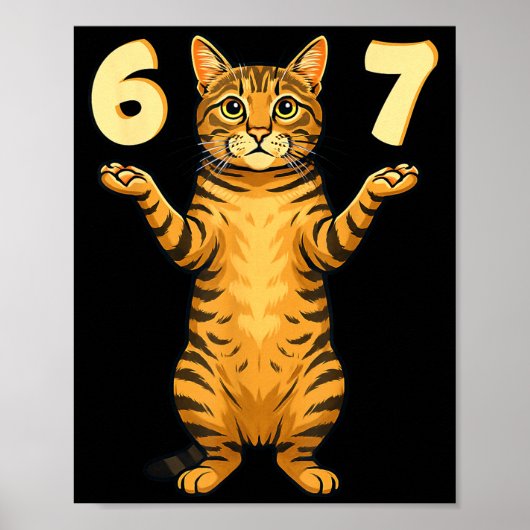 Poster 67 Cat Meme Funny Gen Alpha Slang Humor For Teens  (Devant)
