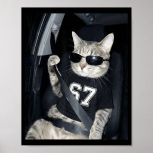 Poster 67 Chat portant des lunettes de soleil Gen Alpha D