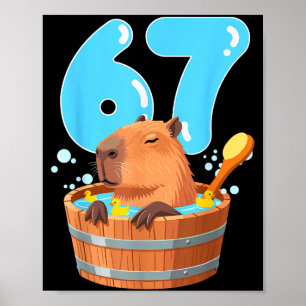 Poster 67 Six Seven 6-7 Capybara Drôle Ado Enfants Capyba