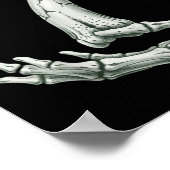 Poster 6 7 Halloween Skeleton Funny 67 Meme Gen Alpha Six (Coin)