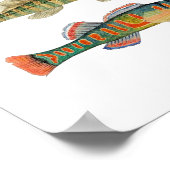 Poster 6 Espèces d'eau douce (Coin)