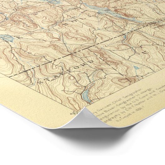 Poster 6 Feuille Brochfield (Coin)