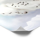 Poster 6 fourchettes (Coin)