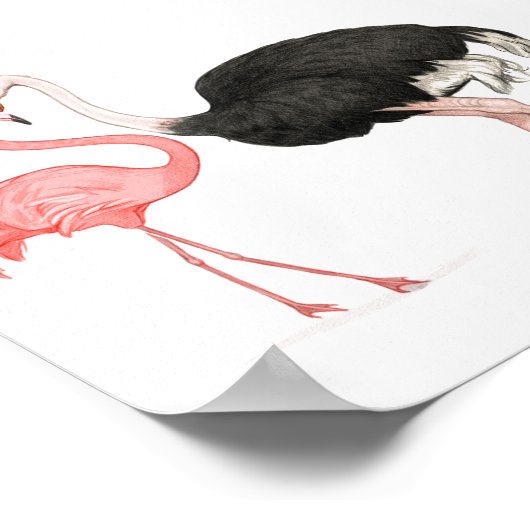 Poster 6x6 Inséparables (Coin)