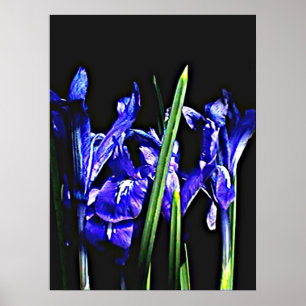 Poster 72" colossal x 52" et 52" x 72" art de Giclée