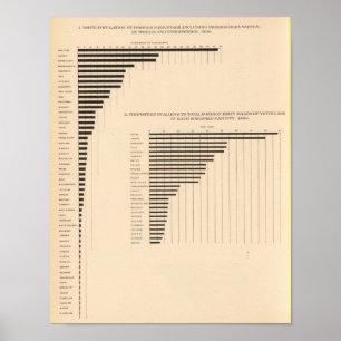 Poster 74 Patrie étrangère de la population blanche par É