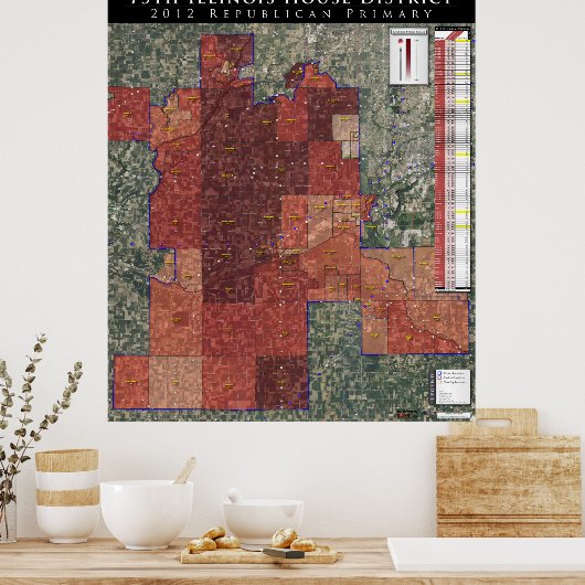 Poster 75th Illinois House District - Rep. Primaire 2012 (Cuisine)