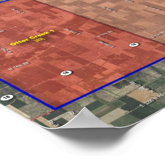 Poster 75th Illinois House District - Rep. Primaire 2012 (Coin)