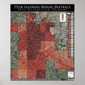 Poster 75th Illinois House District - Rep. Primaire 2012 (Devant)