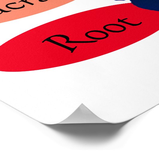 Poster 7 chakras 24x24" (Coin)