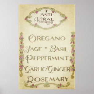 Poster 7 herbes antivirales - œuvre d'art (style vintage)